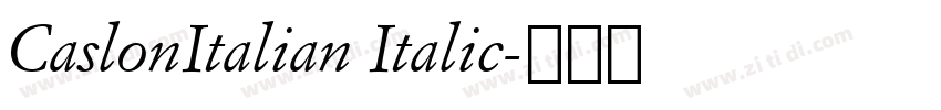 CaslonItalian Italic字体转换